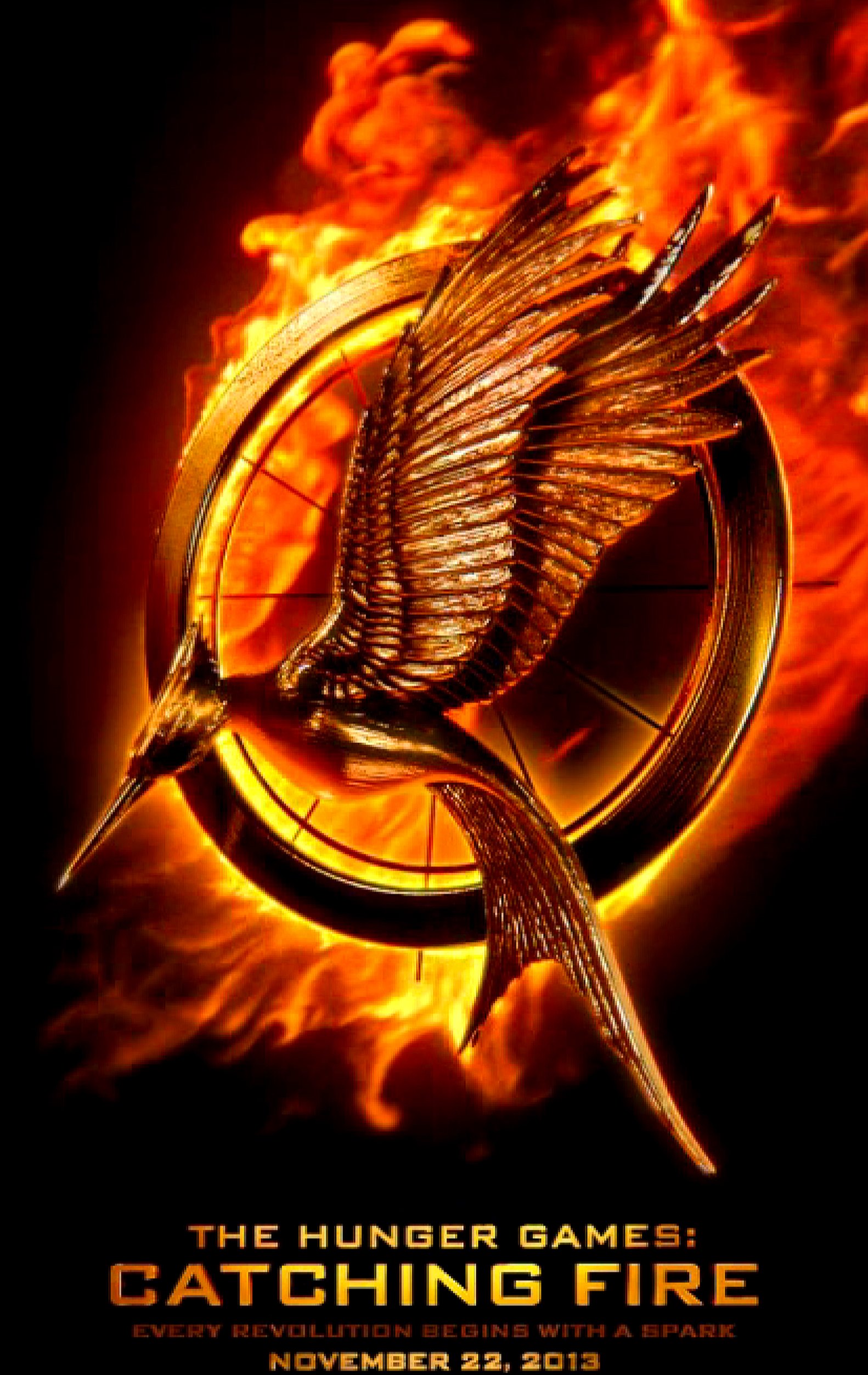 The Hunger Games: Catching Fire instaling